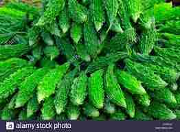 Bitter melon (करेला ) 1KG